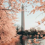 Photo by Eric Dekker